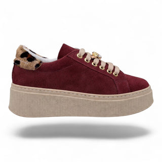 Sneakers Paris barolo VV24605