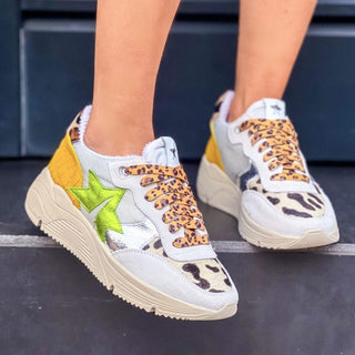 Sneakers Springfields multicolor 37 VV24600