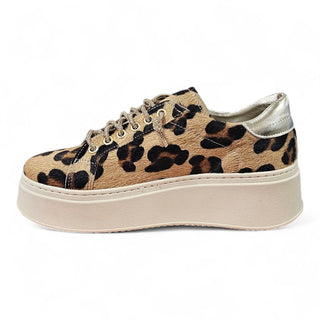 Sneakers Paris leopard crystal VV24605