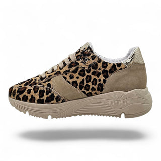 Sneakers Springfields leopard VV24600