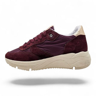 Sneakers Springfields barolo VV24600