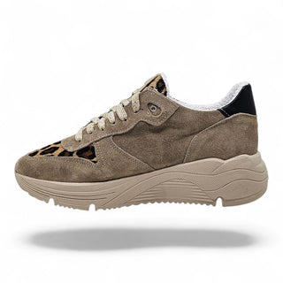 Sneakers Springfields beige Stardust VV24600