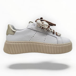 sneakers Rock Grace platino VV24613