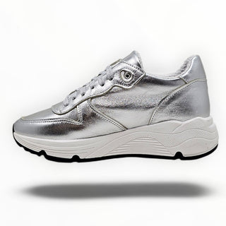 Sneakers Springfields argento VV24600
