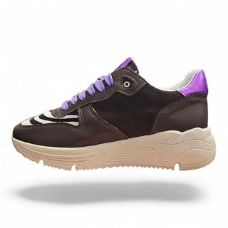 Sneakers Springfields cioccolato VV24600