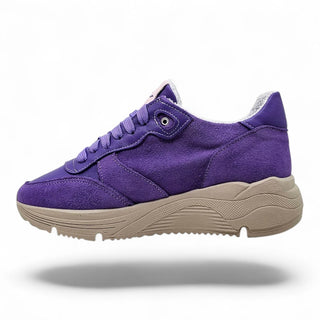 Sneakers Springfields viola VV24600